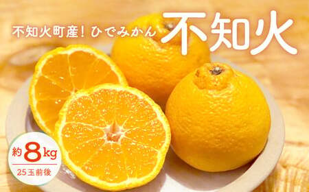 宇城市産 不知火 約8kg(25個前後) ひでみかん [2025年2月上旬から3月下旬発送予定] 柑橘 果物 くだもの お取り寄せ 熊本県 宇城市