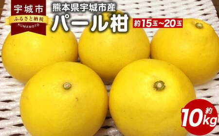 みかん [先行予約] パール柑 約10kg [2025年3月上旬から4月上旬発送予定]文旦 柑橘 みかん 蜜柑 ミカン 熊本県みかん 宇城市産みかん