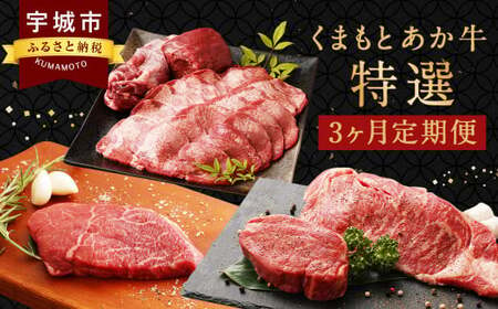 [GI認証] 牛肉 くまもとあか牛 特選 3か月 定期便 あか牛ヒレ肉 あか牛タン ミニステーキ あか牛定期便 和牛