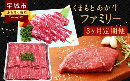 [GI認証] 牛肉 くまもとあか牛 ファミリー 3か月 定期便 あか牛定期便 牛肉定期便 3か月定期便 あか牛カルビ焼き肉用 あか牛すきやきしゃぶしゃぶ用 あか牛ミニステーキ