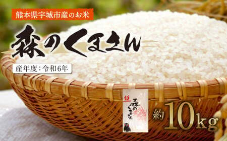 [令和6年産]森のくまさん 精米 約10kg[2025年10月下旬までに発送予定]米 精米