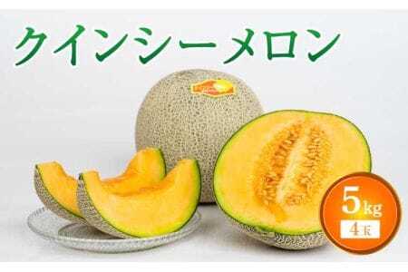 [先行予約]クインシーメロン 4玉入り 合計約5kg[2026年4月中旬〜5月中旬頃発送予定]