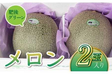メロン(肥後グリーン)2玉入り 合計約3kg〜約4kg 熊本県産メロン 宇城市産メロン 緑肉メロン 国産メロン