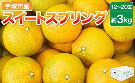 s\ XC[gXvO 3kgi12`20ʁj 2025N12{`2026N1{\