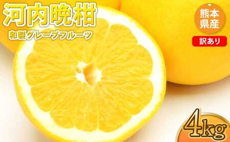 訳あり 河内晩柑 4kg[2025年3月下旬から2025年7月下旬発送予定]