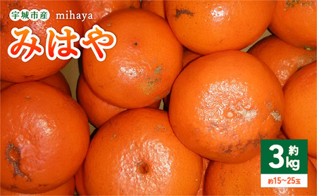 �y��s��t�z�@�݂��� ���k �݂͂� ��3kg�i15�`25�ʁj�@�y2026�N1����{�`2026�N3����{�����������\��z