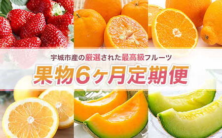 [先行予約]果物6か月定期便 合計6回 いちご 1kg ぽんかん 4.5kg デコポン 2kg ジューシーオレンジ 4.5kg クインシーメロン 2kg 肥後グリーン 1.3kg 定期便 定期 頒布 フルーツ くだもの イチゴ 苺 不知火 メロン 熊本 宇城市 くまふる [2026年1月上旬から順次発送予定]