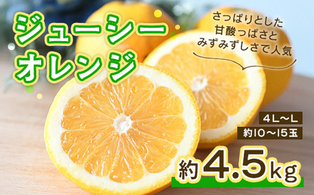 [先行予約] ジューシーオレンジ 約4.5kg みかん ミカン オレンジ 蜜柑 果物 柑橘 河内晩柑 フルーツ くだもの 熊本 九州産 甘い ビタミンC グレープフルーツ 家庭用 自宅用 国産 くまふる [2026年4月上旬頃から順次発送予定]