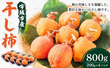 先行予約 干し柿 200g×4パック 合計800g 2025年12月中旬から2026年2月上旬頃発送予定