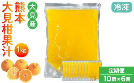 大見柑果汁 冷凍 1kg入り 10個×6回定期便