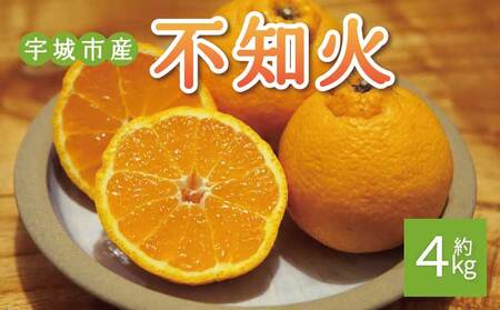 ��s�\�� �s�m�� ��4kg 15�O�� 2026�N2����{����3�����{�����\�� �Ђł݂���