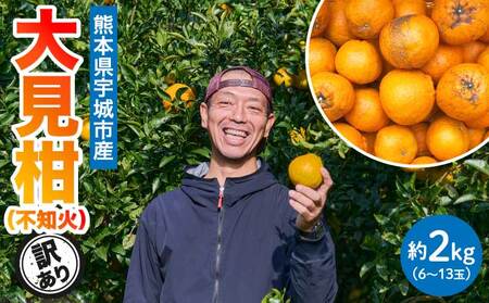 ��s�\�� �F�{�匩�� (�s�m��) �󂠂� 2kg (6�`13��) �y2026�N2����{�`2�����{�������\��z