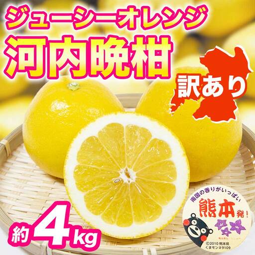 先行予約 訳あり 河内晩柑 ジューシーオレンジ みかん 約4kg [2027年3月上旬〜4月中旬配送予定]