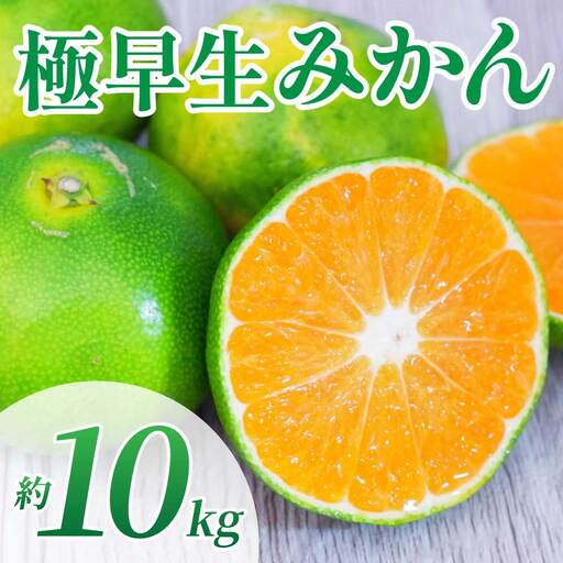 先行予約 極早生みかん 約10kg (2S～2L)【2026年10月上旬～2026年10月下旬配送予定】