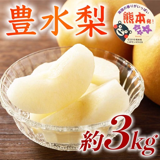 先行予約 豊水梨 約3㎏ (4～12玉)【2026年8月上旬～2026年8月下旬発送予定】