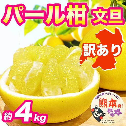 先行予約 訳あり パール柑 文旦 約4kg [2027年2月上旬〜2027年3月下旬配送予定]