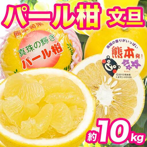 先行予約 パール柑 文旦 秀品  約10kg（12～36玉 ）【2027年2月上旬～2027年3月下旬配送予定】