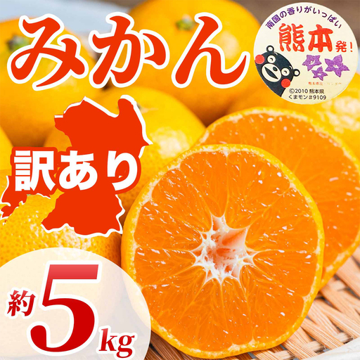 先行予約 訳あり みかん サイズミックス 約5㎏（ 3S～3L）【2026年10月上旬～2027年2月下旬配送予定】