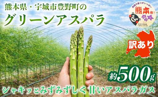 訳あり アスパラガス 約500g (S〜L) [2026年7月上旬〜2026年10月中旬発送予定]