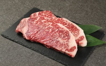 地元ブランド くまもとあか牛 ロース ステーキ 計500g(250g×2枚) 国産 和牛