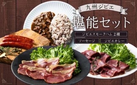 九州 ジビエ 堪能 セット(ハム2種・ソーセージ3本・カレー2パック)熊本県宇城市産 猪肉 イノシシ肉