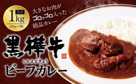 黒樺牛ビーフカレー [TBS 「熱狂マニアさん!」で紹介] 1食 200g×5個 合計1kg 黒毛和牛 くろはなぎゅうビーフカレー