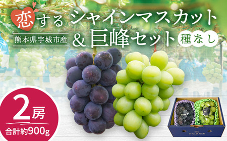 [先行予約] シャインマスカット 巨峰 シャイン マスカット きょほう ぶどう 葡萄 恋するシャインマスカット&巨峰セット 2房 合計約900g 種無し 種なし たねなし ギフト セット 詰合せ 宇城市産 御舩果樹園[2026年7月下旬〜9月下旬頃順次発送予定]