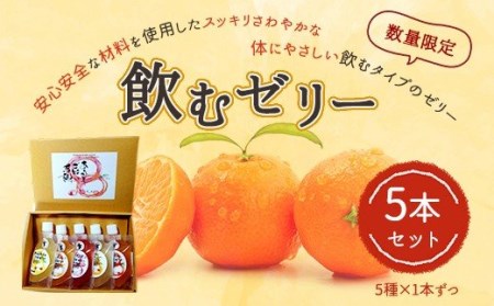 飲むゼリー 5本セット(5種類×1本)果汁50% 柑橘 数量限定