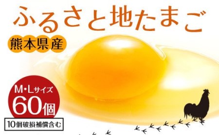 ふるさと地たまご 60個(M・Lサイズ)卵 赤たまご 10個破損補償含む