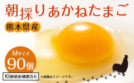 卵 朝採り あかね たまご 90個(Mサイズ)卵 10個破損補償含む