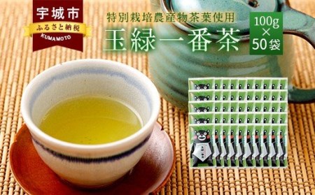 緑茶 くまモン 玉緑一番茶100g 50袋セット 緑茶 日本茶 一番茶