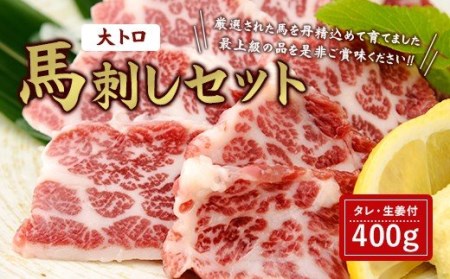 馬刺し セット 大トロ 400g