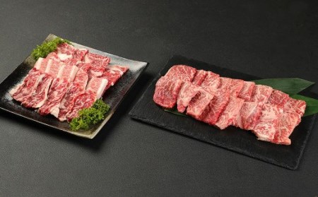 牛肉 焼肉 焼肉用 BBQ 計700g (350g×2種) カルビ 霜降り アウトドア 霜降りカルビ 肉 キャンプ おかず 黒毛和牛 和牛 牛 ロース セット 焼き肉 食べ比べ 熊本県産 九州産 国産 冷凍 送料無料 くまもと黒毛和牛 セット 計700g(350g×2種) ロース 国産 和牛 牛肉