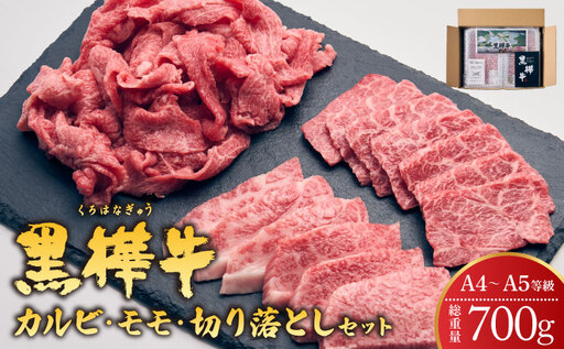 牛肉 焼肉 カルビ・モモ・切り落としセット 計700g
