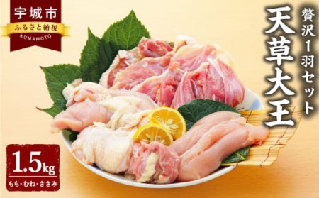 鶏肉 天草大王 (もも むね ささみ) 1.5kg×1袋 鶏 贅沢 1羽