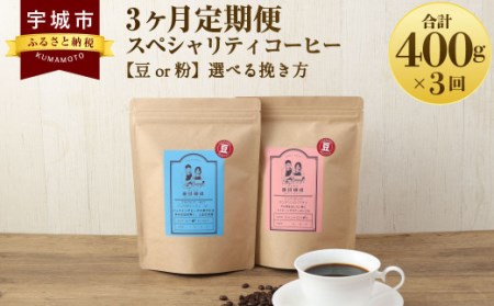 コーヒー [3ヶ月定期便] スペシャリティコーヒー 粉