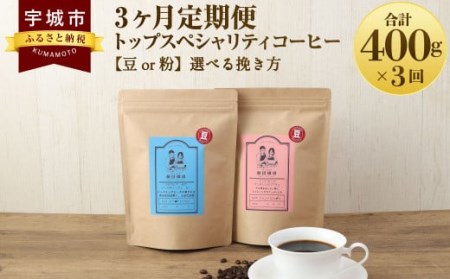 コーヒー [3ヶ月定期便] トップ スペシャリティコーヒー 豆