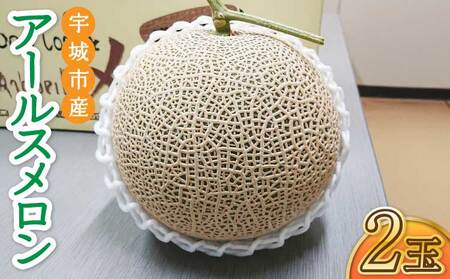 ������ �A�[���X������ 2�� �t���b�V���_�C���N�g�y2026�N6����{�`7�����{�����\��z