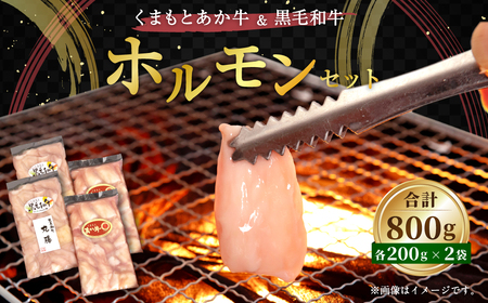 牛 ホルモン 計800g (あか牛ホルモン200g×2 くまもと黒毛和牛ホルモン200g×2) 焼肉 セット くまもとあか牛 ・ くまもと黒毛和牛ホルモンセット 合計800g(200g×4袋)