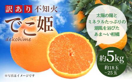 訳あり 不知火 でこ姫 約5kg(約18〜25玉)吉田レモニー 柑橘 フルーツ 果物
