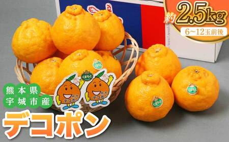 �y2026�N2�����{�`5�����{�����������\��z�F�{���F��s�Y �f�R�|�� 4L�`S�T�C�Y ��2.5kg