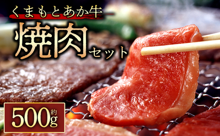 [GI認証]くまもとあか牛 焼肉用約500g 阿蘇牧場 熊本県 阿蘇市