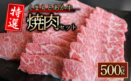 [GI認証]くまもとあか牛 特選焼肉用 500g 桜屋