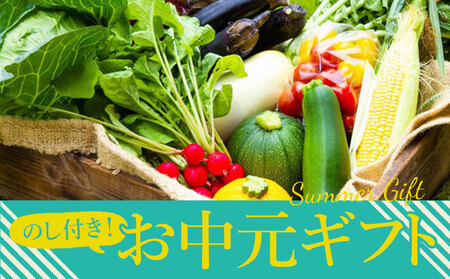 [夏のギフト]高冷地 朝採れ夏野菜〜ふるさとセット〜