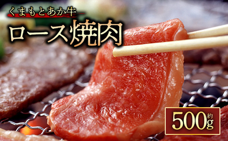 [GI認証]くまもとあか牛ロース焼肉500g 阿蘇牧場 熊本県 阿蘇市