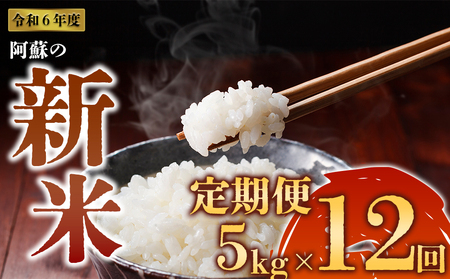 令和6年度 阿蘇の美味しいお米定期便 5kg×12回(毎月)