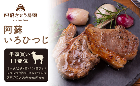 [ふるさと納税]阿蘇いろひつじ 半頭買い 11部位 羊肉 ラム肉 阿蘇さとう農園