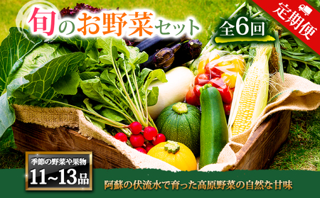 [定期便 全6回]畑から直送 季節のお野菜セット XLサイズ