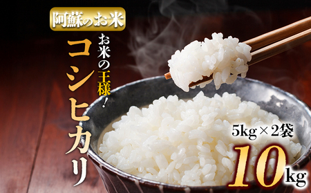 [コシヒカリ・農家指定無]令和6年産 阿蘇の美味しいお米をお届け!10kg (5kg×2袋) 白米 お米 人気 美味しい 白ご飯 こだわり 農業 甘味 香り ツヤ お米の王様 熊本県 阿蘇市