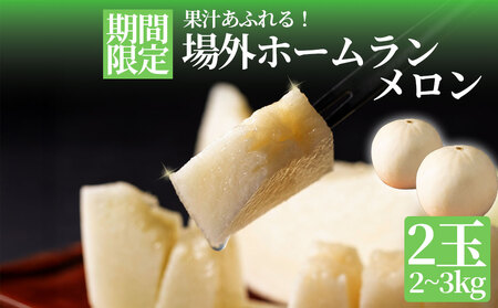 メロン 場外ホームランメロン 甘い 白い 希少メロン フルーツギフト ギフト 贈答用 お祝い 熊本県 阿蘇市